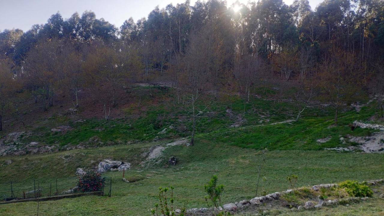 O Aconchego Das Raizes Baião Dış mekan fotoğraf